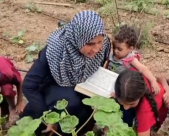 شعب الجبارين .. سيدة تُحفظ أبنائها القرآن وهي تزرع أرضها شمال غزة